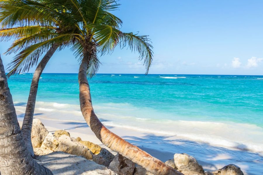 Séjour De Luxe En All Inclusive à Punta Cana