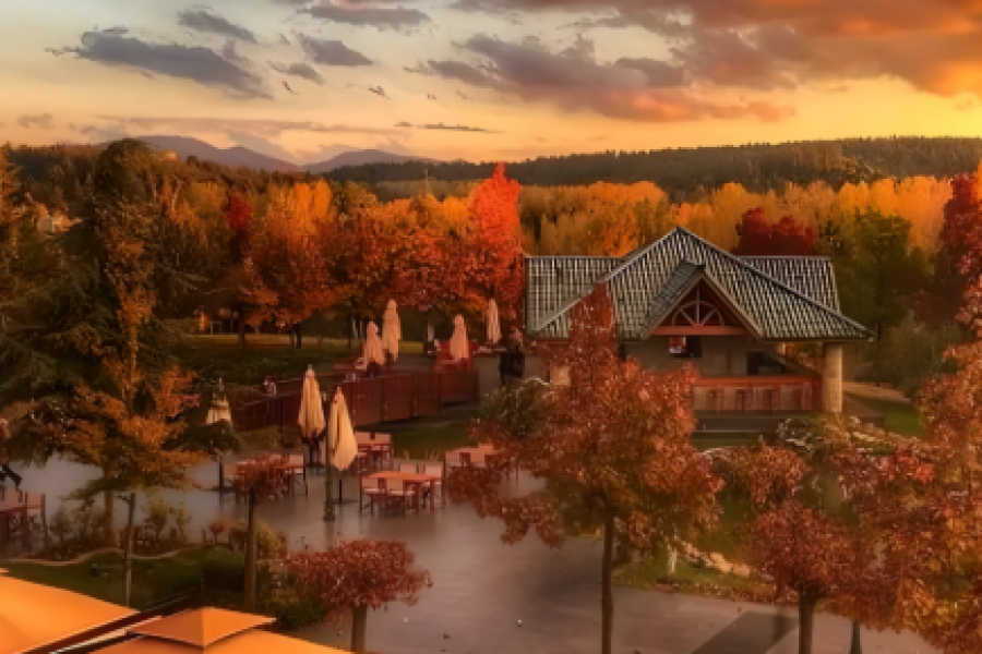 Voyage organisé Ifrane – Fès – Moulay Yacoub